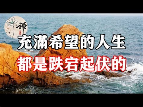 起伏意思